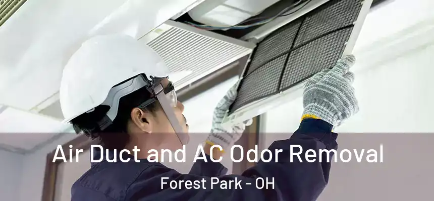  Air Duct and AC Odor Removal Forest Park - OH