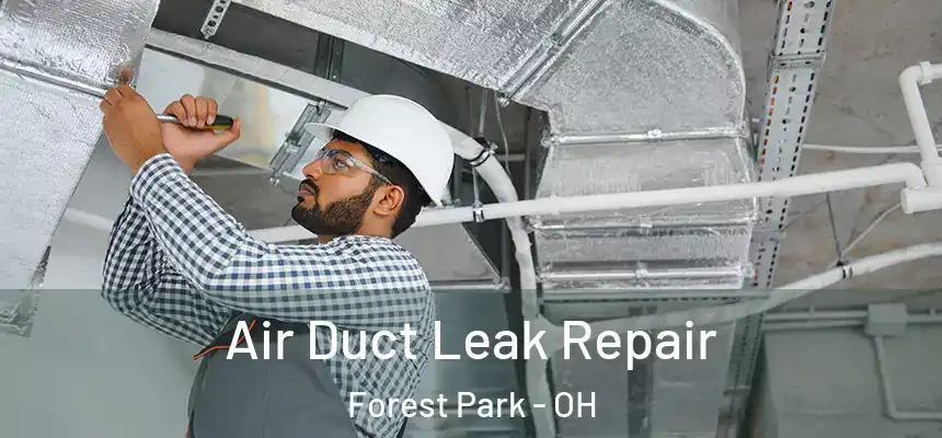  Air Duct Leak Repair Forest Park - OH
