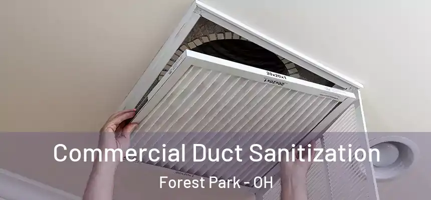 Commercial Duct Sanitization Forest Park - OH