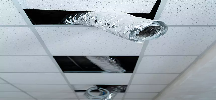 Our Air Duct Pet Hair Removal Services in Forest Park, OH