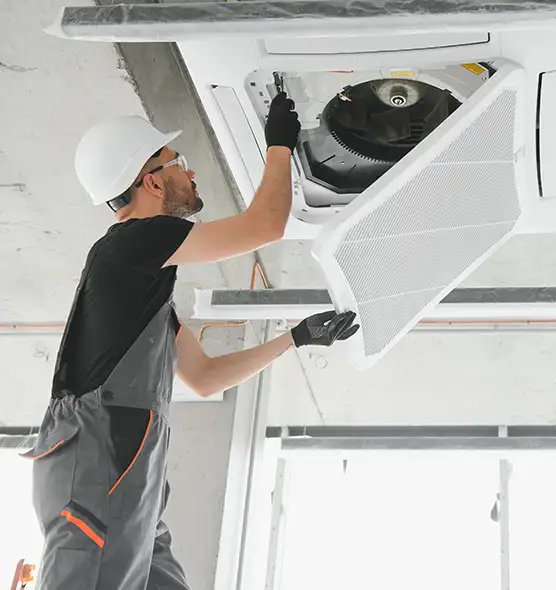 About Air Duct Rodent Removal in Forest Park, OH