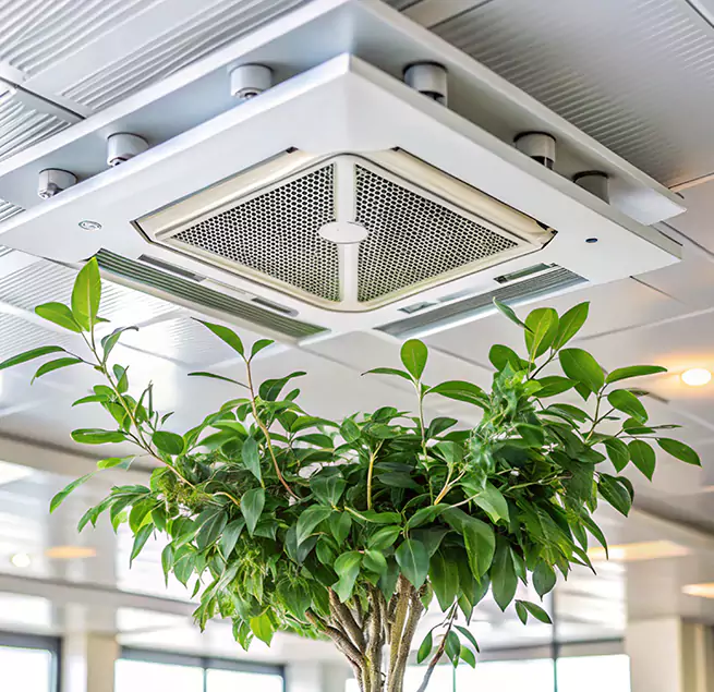 Why Homeowners & Businesses Trust Us in Forest Park, OH