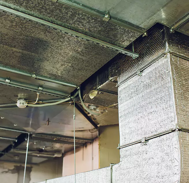 Why Homeowners & Businesses Trust Us in Forest Park, OH?